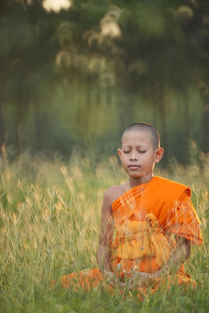 Outdoor Yoga in a Forest